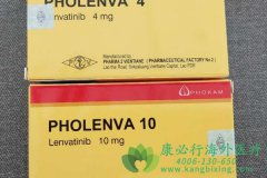 �����ط�����/�ַ�����(Lenvatinib)��������������������������