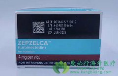 ³�ȿ���(ZEPZELCA)�ɶ�������Сϸ���ΰ�(SCLC)���˻��ߣ�