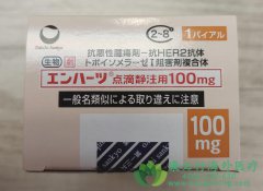 enhertu����HER2���Բ����г���ת�������ٰ����ߵİ�ȫ����Σ�