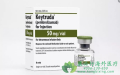 ��ķ����(PEMBROLIZUMAB)��ȫ�Ը���������θ�����ߵ���ϣ����