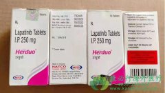 ̩��ɳ/��������(LAPATINIB)������Ӧ�ʹ�����ʽ