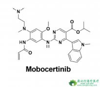 mobocertinib��EGFR ex20ins�ΰ����ߵ���ѡ��