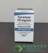 ��Ī¬����(ramucirumab/Cyramza)����������ת���Խ�ֱ�������ߵ������ڣ�