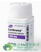 ��������(Lorbrena)�ٴ����Ʒ�Сϸ���ΰ������п��ܻ������Щ������Ӧ��