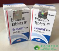 ��������(ERLOTINIB)�������������ض���Ƥ������������ͻ��ķΰ����ߣ�