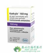 �����鵥��(emtansine)�ܽ������ٰ�����Զ�������;ֲ��������գ�