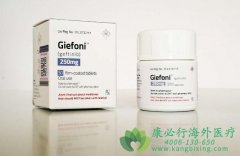 ���߷��ü�������/����ɳ(GEFITINIB)��û������ҩ�ԣ�