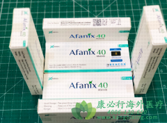 ��������/��̩��(GILOTRIF)���������鵥������TKI��ҩ�����ڷΰ���������Ч��