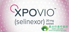 塞利尼索(selinexor/xpovio)在复发性胶质母