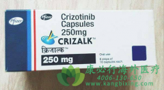 ��������/������(Crizotinib)���Ʒ�Сϸ���ΰ����ٴ��о�������Σ�