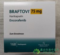 ���η���/���η���(Encorafenib)�����Ʒ����ƺ�ɫ������Ч�����ѣ�