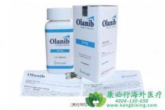 ��������/��������(LYNPARZA)��BRCAͻ���������ٰ��ĸ����Ʒ���