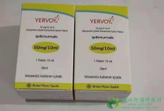 ��ƥľ����(Yervoy/Pembrolizumab)�ķ��÷�������������