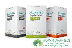 /(BRIGATINIB)ΪALKԷΰӭѡ