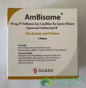 安必素(Ambisome)治疗隐球菌性脑膜炎的效果