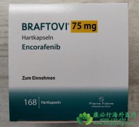 ���η���/���η���(Encorafenib)����ת���Խ�ֱ�����Ƿ�ȫ��Ч��