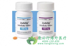 ��������˹(Zydelig/Idelalisib)���Ϸ��������ܰ����Ͱ�Ѫ�����о�����