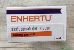 Enhertu/DS-8201�ļ�������Ч����˵��