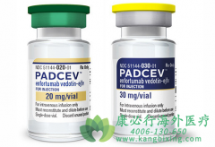恩诺单抗(Padcev)单药或联合Keytruda治疗尿