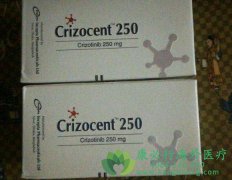 ��������/������(Crizotinib)�ڷ�Сϸ���ΰ�������Ⱥ��Ч����Σ�
