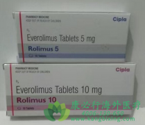依维莫司/飞尼妥(EVEROLIMUS)辅助治疗肾癌