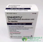治疗乳腺癌的新药Enhertu/DS-8201的治疗优