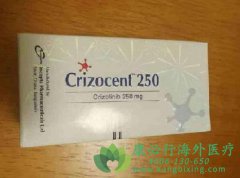 ��е����Ƽ���������/������(Crizotinib)�Ƿΰ����ذ�����ҩ��