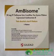 ������(Ambisome)�ǿ������Ⱦ��һ������ҩ�