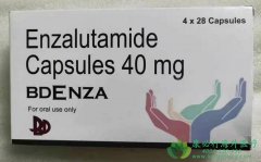 恩杂鲁胺/安杂鲁胺(ENZALUTAMIDE)治疗前列