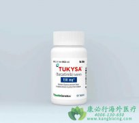 图卡替尼/妥卡替尼(TUCATINIB)作为乳腺癌靶
