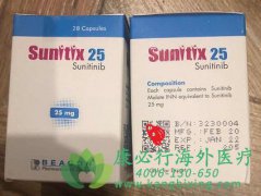 舒尼替尼/索坦(SUNITINIB)单药治疗肾细胞癌