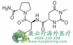 (TALTIRELIN)ڸƼСԱԻߵĹʧ