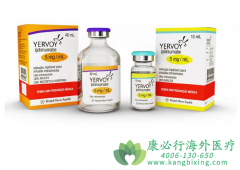 ƥ(IPILIMUMAB)Ƽ˵