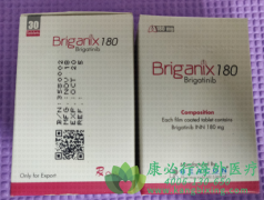 /(BRIGATINIB)NSCLCĻЧ