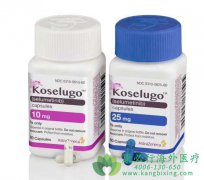 1άͯʹ˾(Koselugo/Selumetinib)ЧΣ