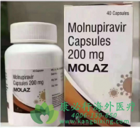 小分子口服抗病毒药莫努匹韦(molnupiravir)