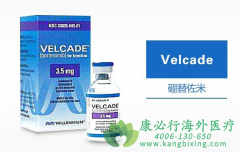 硼替佐米(VELCADE)三联方案用于既往未治疗