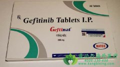 /ɳ(GEFITINIB)ЧΣʹ÷ģ