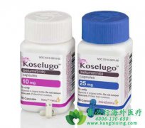 ˾(Koselugo/Selumetinib)ŷ׼1ά