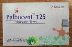 ߰/(PALBOCICLIB)ER+ٰӰ죿