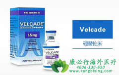 /(VELCADE)Ƕ෢Թĳҩ
