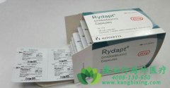 /׵˹(RYDAPT)ϵͳԷʴϸ֢ڣ