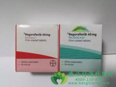/(REGORAFENIB)ڸϸԸΰЧΣ