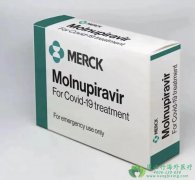 抗病毒药物莫诺拉韦/莫努匹韦(MOLNUPIRAVIR
