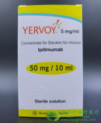 伊匹木单抗(Yervoy)加纳武利尤单抗治疗胸膜