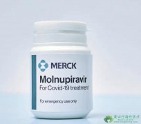 ĪŬƥΤ/ĪƥΤ(MOLNUPIRAVIR)ʲôҩ