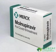 ڷҩĪŬƥΤ/ĪƥΤ(MOLNUPIRAVIR)ٴо