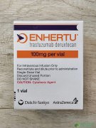 ENHERTU/DS-8201是HER2+非小细胞肺癌的突破