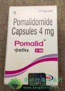 Ȱ/Ȱ(Pomalidomide)ƸԶ෢Թʵо