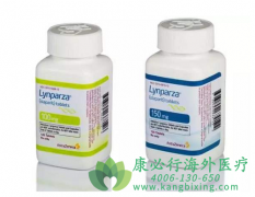奥拉帕尼/奥拉帕利(LYNPARZA)用于治疗卵巢